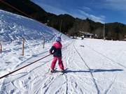 Sleeplift in het beginnersparadijs