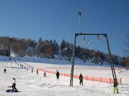 Mittlerer Wilddieblift