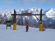 Pradalago Mini Ursus