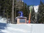 Leuk vormgegeven liftgebouwtje