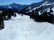 Gemakkelijke piste van Mellau naar Damüls