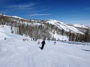Gemakkelijke piste Bandana