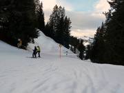 Parsenn afdaling naar Küblis