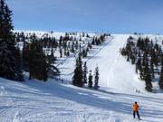 Uitzicht op de piste Källbacken in Hundfället