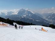 Gemakkelijke familiewedafdaling