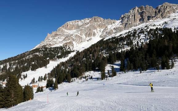 Hoogste skigebied in de Fleimstaler Alpen – skigebied Latemar – Obereggen/Pampeago/Predazzo