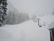 Afdaling Debbie's Gold