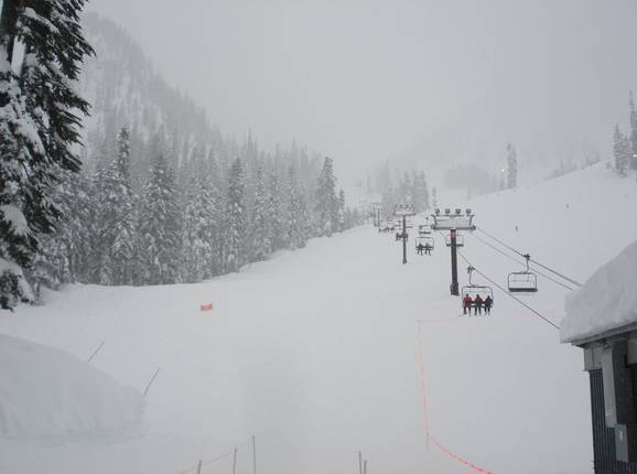 Afdaling Debbie's Gold