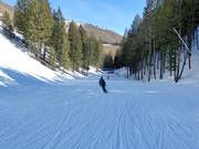 Gemakkelijke piste Lower Broadway