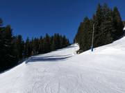 Gemakkelijke Alm-afdaling