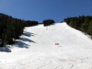 Pistes op Pla de la Cot