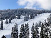 Middelzware afdalingen bij de Zellerliften