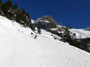 Zwarte dalafdaling Seealpe