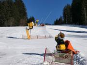 Uitgebreide besneeuwing