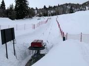 Wildcat Handle Tow - Sleeplift/babyllift