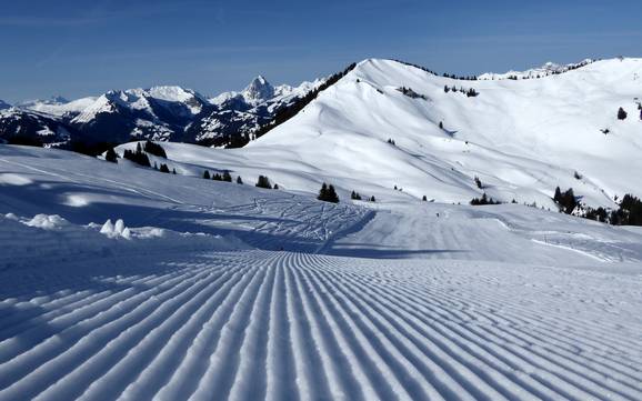 Pistepreparatie Saanedal – Pistepreparatie Rinderberg/Saanerslochgrat/Horneggli – Zweisimmen/Saanenmöser/Schönried/St. Stephan