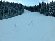 Bescherming van de graszode door afzettingen