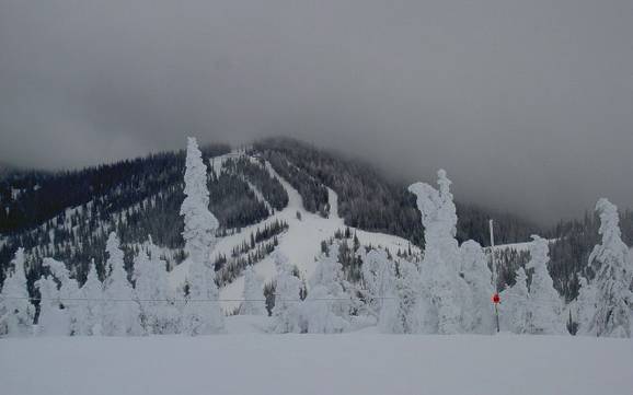 Grootste skigebied in Idaho – skigebied Schweitzer Mountain Resort