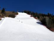 Zwarte piste Piculin