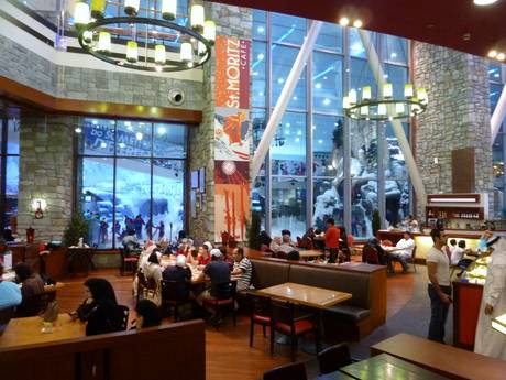 Après-ski West-Azië – Après-ski Ski Dubai – Mall of the Emirates