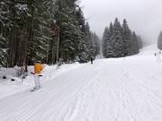 Hirschberglift - Sleeplift met T-beugel/Ankerlift