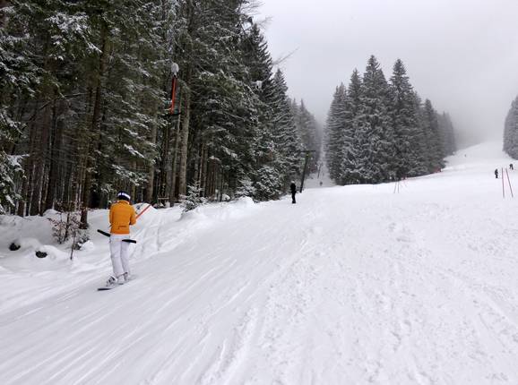 Hirschberglift - Sleeplift met T-beugel/Ankerlift