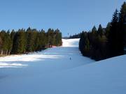 De Kandahar is steil