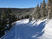 Gemakkelijke piste Lázeňská