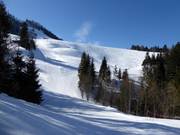 Piste naar de Steinling-Schlepplift