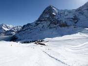 Uitzicht vanaf de Lauberhorn op de Kleine Scheidegg