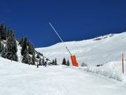 Lanzenbesneeuwing in Laax