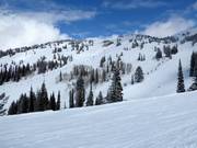 Uitzicht op de pistes bij de Blackfoot Lift
