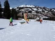 Beginner Park Saanenwald