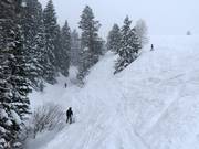Steil terrein bij de stoeltjeslift Super Condor Express