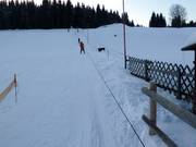 Skilift Rölzhang - Sleeplift/babyllift