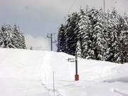 Tour du pin - Pannenkoeklift