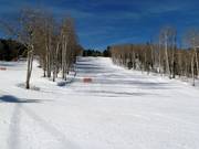 Afdaling Red's Rover