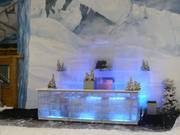 Eisbar in de skihal