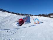 Tip voor de kleintjes 