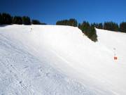 De open hellingen van het Pferdeloch zijn kenmerkend voor het Postwiesen-skigebied.
