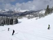 Piste bij de stoeltjeslift Crest 6