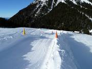 Boardercross Pampeago