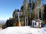 Rivetta - Pannenkoeklift