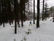Een afdaling door het bos is ook mogelijk.