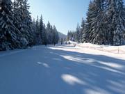 Makkelijke familieroute bij de Sonnenhang-stoeltjeslift