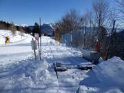 Tappeto Cjalcenal - Transportband/Moving Carpet