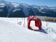 Skirace van de skischool