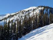 Uitzicht op het Eagle East-gebied met zware Double Diamond-afdalingen