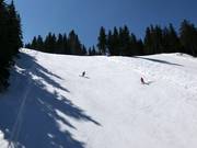 Steile piste 3 Arch. Peter Petrov