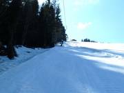 Schlepplift Lackner - Sleeplift met T-beugel/Ankerlift